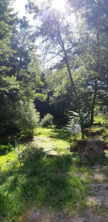 Gite De La Baerenbach Haselbourg Exterior photo